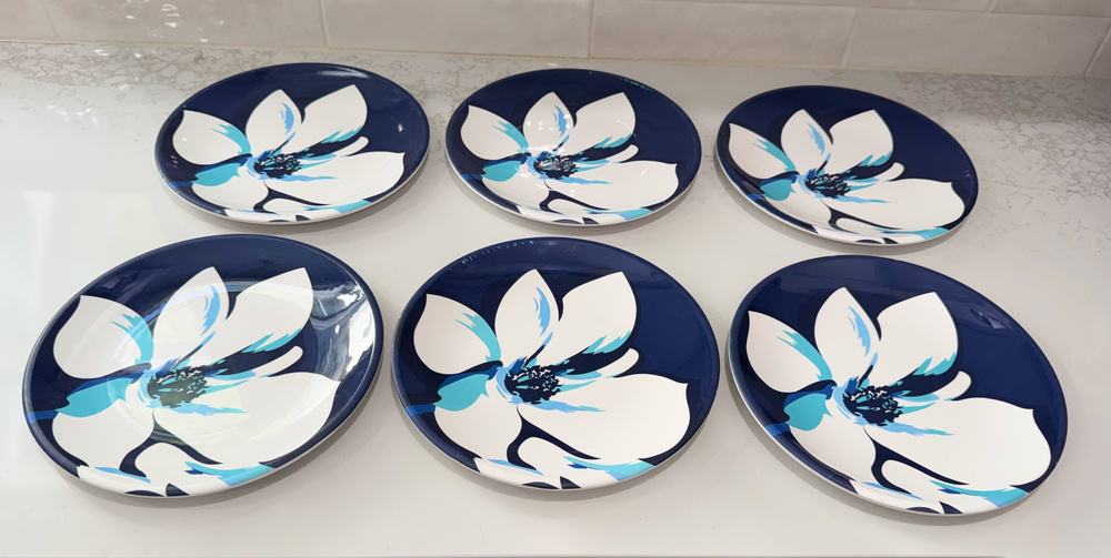 Set of 6 Draper James Crate & Barrel Magnolia Blue Melamine 10" Dinner Plates